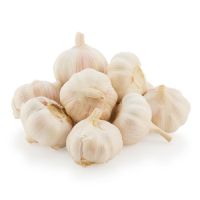 Ajo