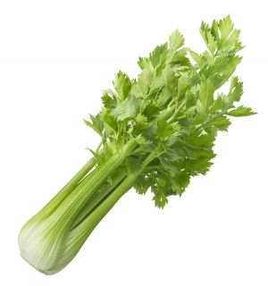 Apio