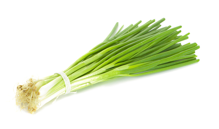 Hoja de Cebolla
