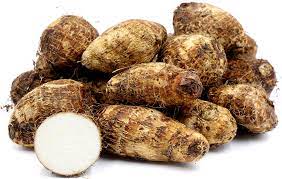 Malanga