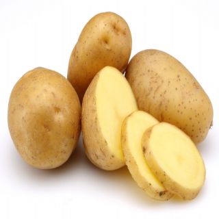 Papas