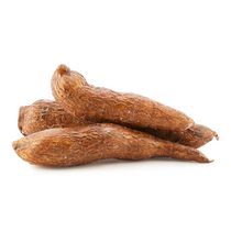 Yuca